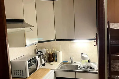 Wohnung in Le Mont-Dore mit Bergblick