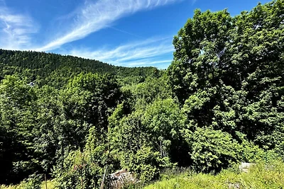 Wohnung in Le Mont-Dore bei Skipisten