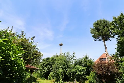 Ferienwohnung mit Sauna in Buschenhagen