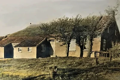 Lindenhuus - Osteel