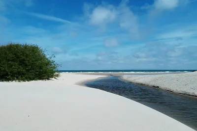 6 persoons vakantie huis in Hornbæk-By Traum