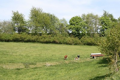 Ferienhaus in der Nähe des Skigebietes