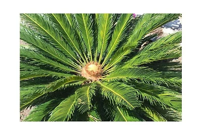 Clifftop Apartment Confortevole residenza per...