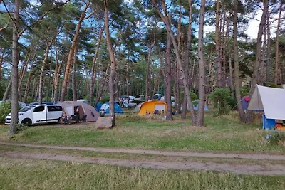 Ferienwohnung mit Kamin am Achterwasser in...