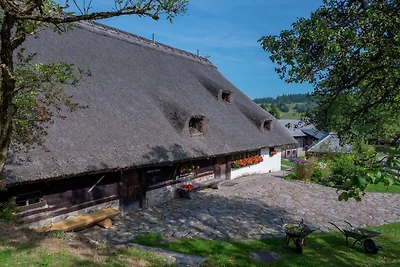 Terrasappartement, Herrischried