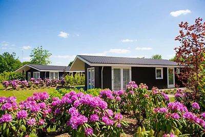 Chalet moderno sull'acqua nel Brabante Kempen