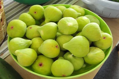 Apartments Villa Tanja - Two Bedroom Apartmen...