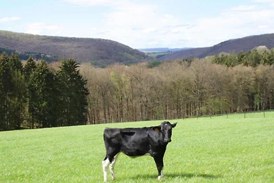 Terrassenwohnung mit Wald