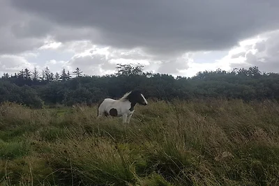 6 persoons vakantie huis in Fjerritslev-By...