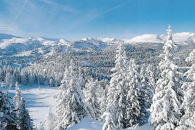Attraktives Chalet mit Sauna