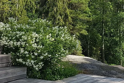 4 sterren vakantie huis in STAVSNÄS