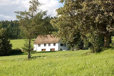 Ferienhaus mit 1 Schlafzimmer