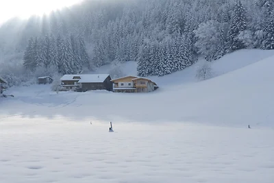 Wohnung in Kaltenbach nahe Skilift