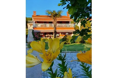 Vakantieappartement in Punat met barbecue