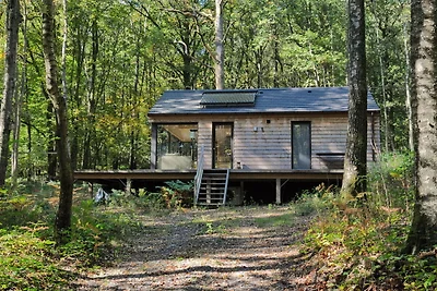 Chalet moderno situato nel bosco