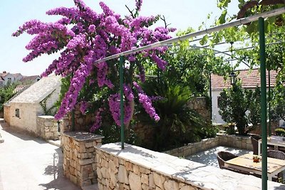 Apartments Paloc - Bungalow with Garden view