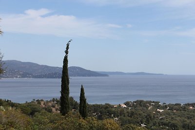 Gemütliche Villa in Bormes-les-Mimosas mit...