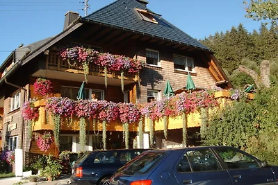 Haldenhäusle  Schwarzwald