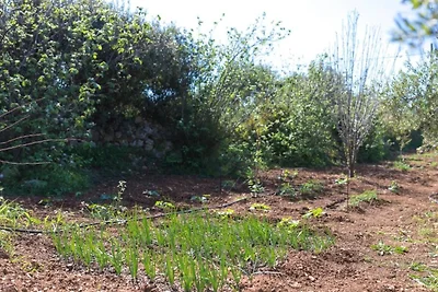 Villa in Skouloufia mit Pool und Aussicht