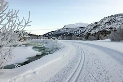 4 Sterne Ferienhaus in Hemsedal