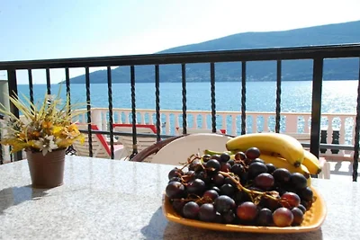 One Bedroom Apartment B