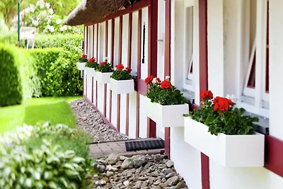 Wohnung mit Garten in Klütz