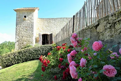 Castello con piscina privata vicino ad Agen