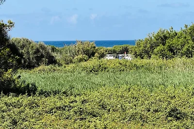 Wohnungen in Son Bou