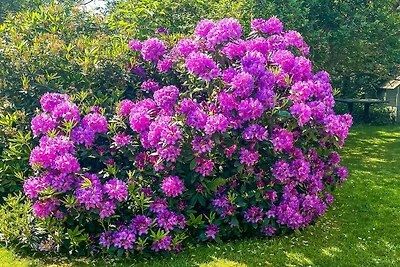 6 Personen Ferienhaus in Dannemare