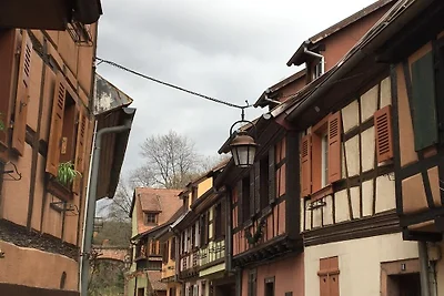 Ferienhaus Erholungsurlaub Freiburg