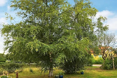 12 persoons vakantie huis in Haverdal
