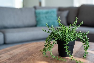 apartman za odmor Obiteljski odmor Kamperland
