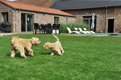 Ferienhaus in Vlaanderen f�r 3 Personen