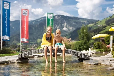 Chalet per 8 persone a Wald im Pinzgau