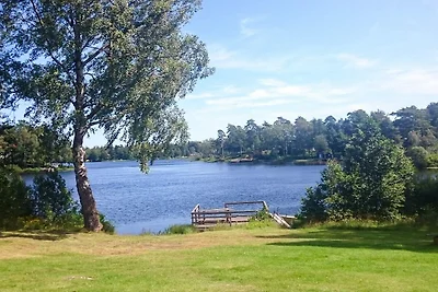 6 persone case ad Vittsjö