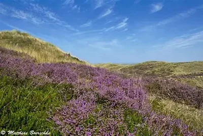 Appartements Post Hiddensee, Vitte