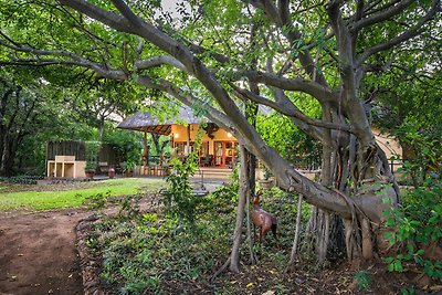 Bush Villa all'ingresso del Kruger Park