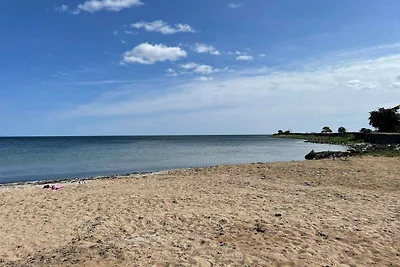 4 Sterne Ferienhaus in Fågelmara