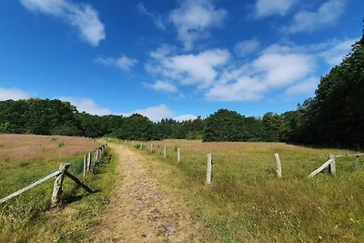 8 persoons vakantie huis in Ørsted-By Traum