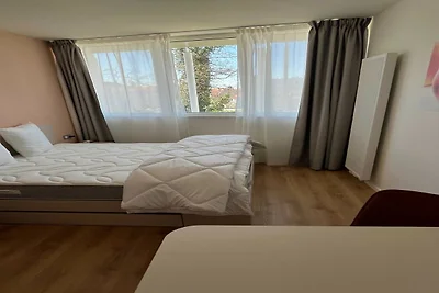 Vakantieappartement Gezinsvakantie Mulhouse