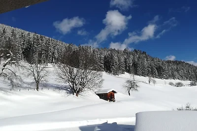 Appartement de vacances avec 5 chambres