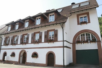 Ferienwohnung Ries Komfortable Ferienresidenz