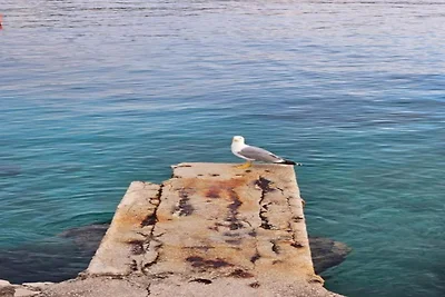 Schöne Wohnung in der Nähe des Strandes Rtić