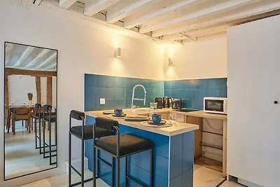 Hervorragende Wohnung im Louvre Museum Saint...