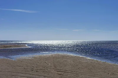 4 Personen Ferienhaus in Ålbæk-By Traum