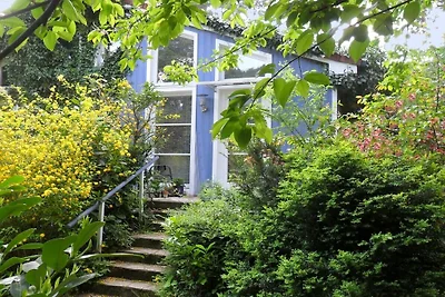 Wonen op het platteland