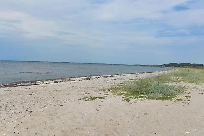 4 Personen Ferienhaus in Farsø-By Traum