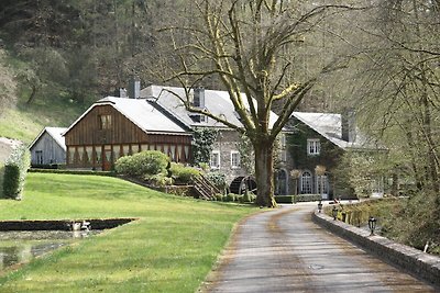 Luxuriöse Mühle mit Schwimmbad