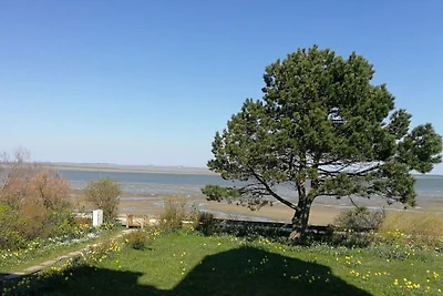 Vakantieappartement met 3 slaapkamers