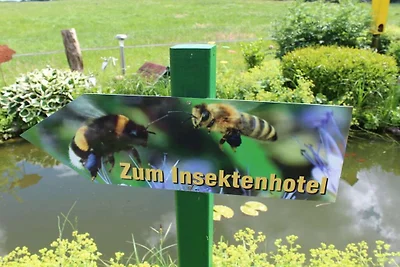 Ferienhaus in Malente mit Schwimmbecken